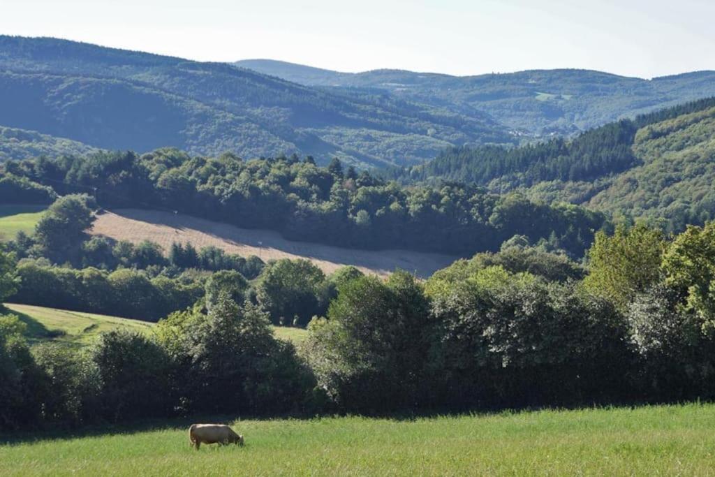 Ahoma, Sejour Bien-Etre, Calme Et Serenite. Labruguière Eksteriør bilde